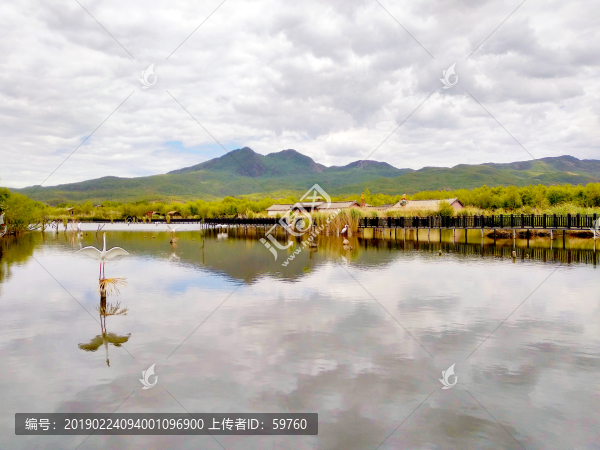 麗江拉市海濕地風景