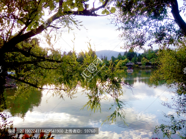 拉市海濕地公園