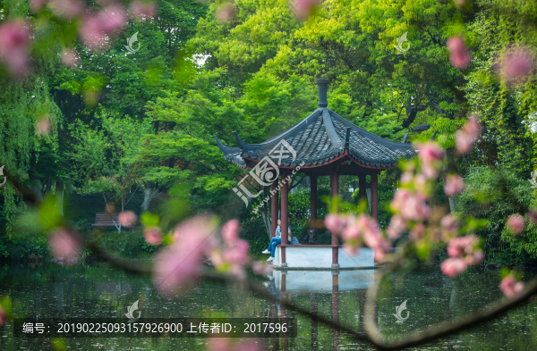 西湖春色