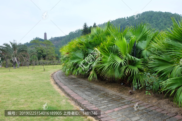 公園