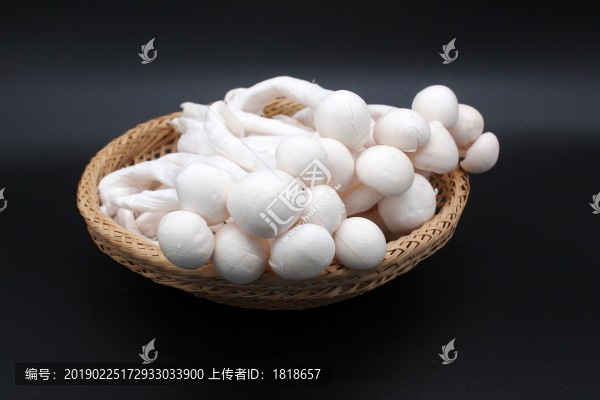 海鮮菇