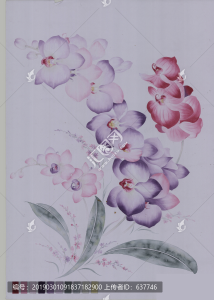 印花圖案