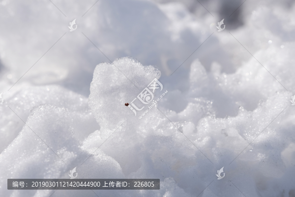 雪地