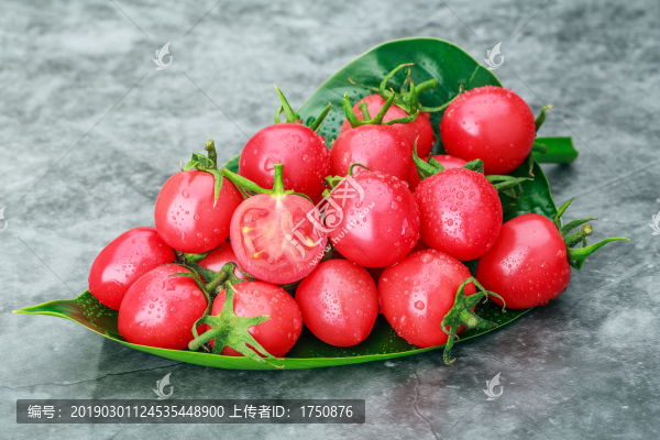 小西紅柿