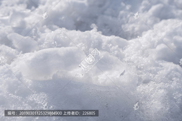 雪地
