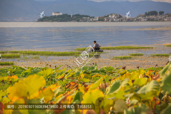 大理洱海風光