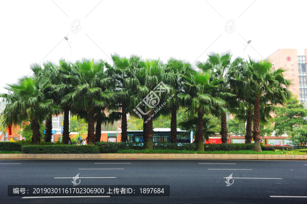 公路