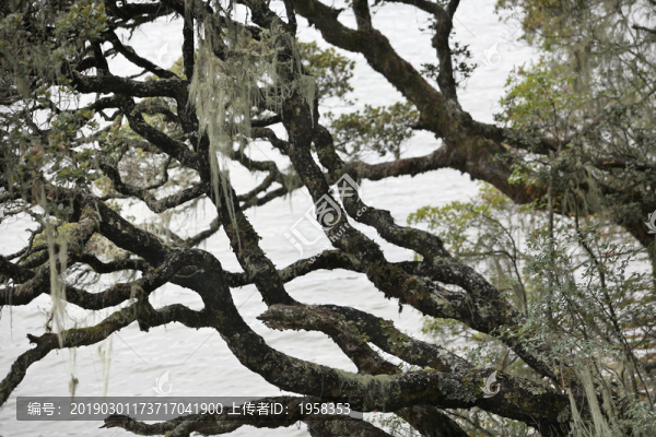 普達(dá)措國(guó)家公園印象
