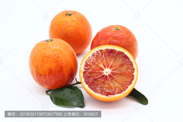 血橙