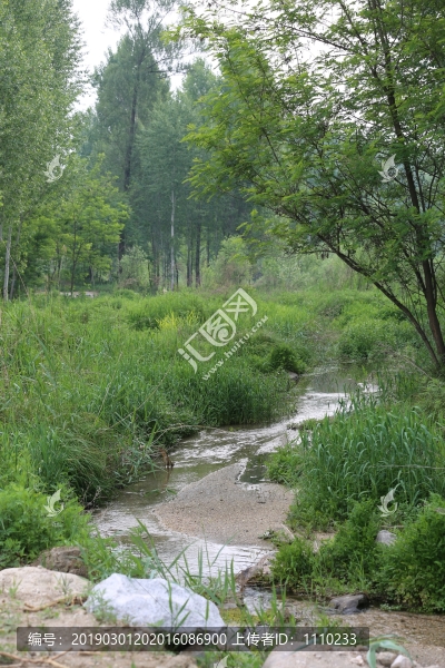 小溪