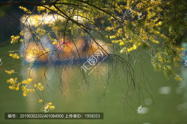 春意盎然