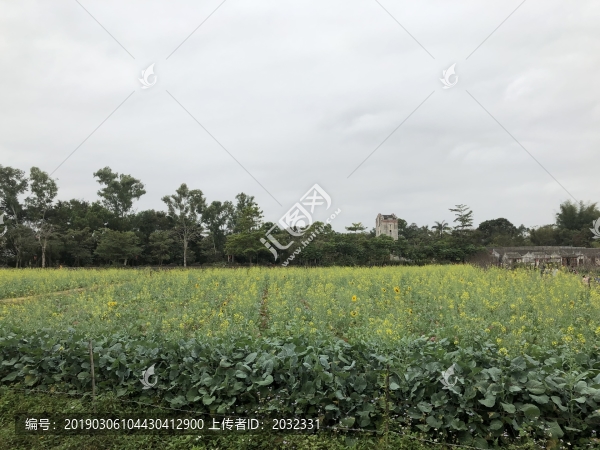 觀瀾版畫(huà)村