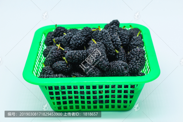桑葚