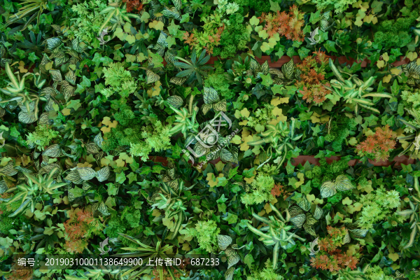 綠植墻