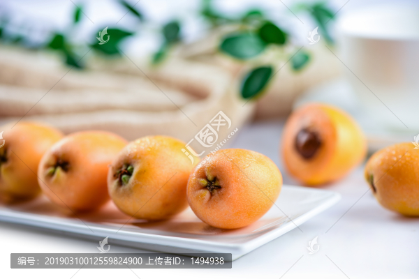 枇杷