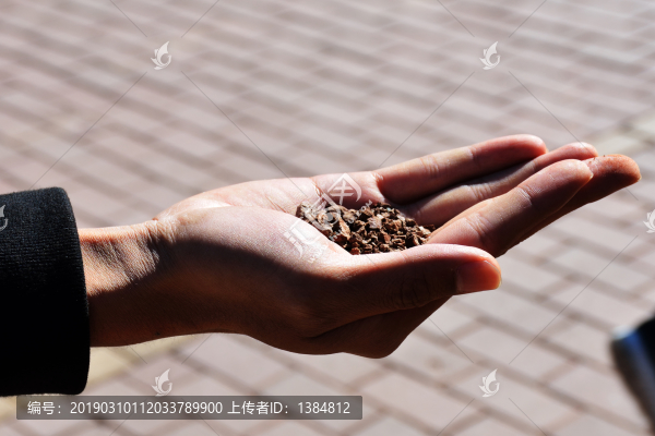 一只手捧著土