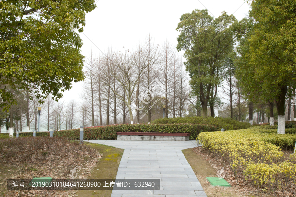 公園小路