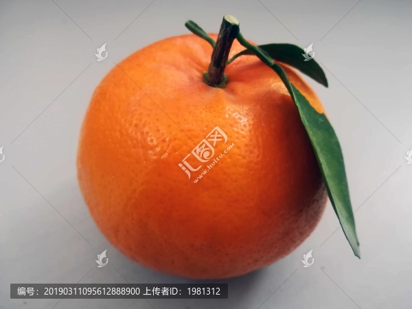 橘子