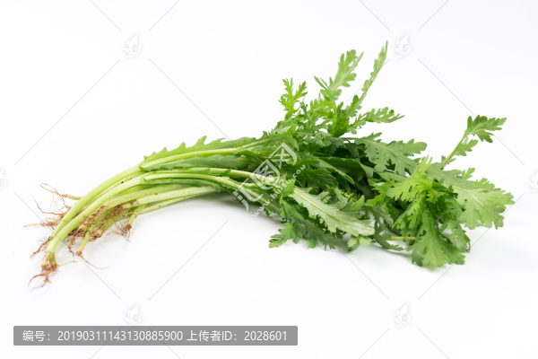 蒿子桿