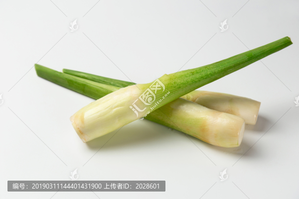 茭白