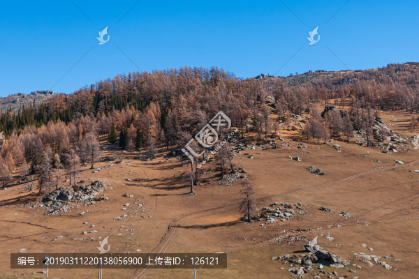 喀納斯風(fēng)光