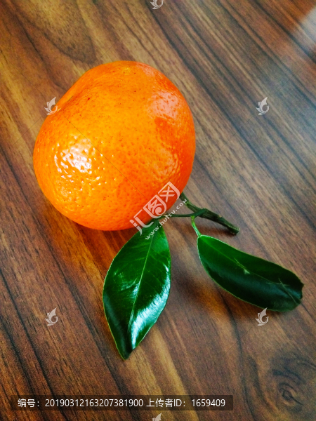 砂糖橘