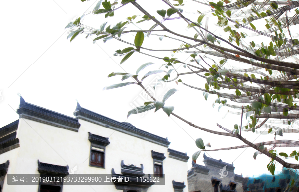 江蘇鹽城大洋灣生態(tài)運(yùn)動公園畫