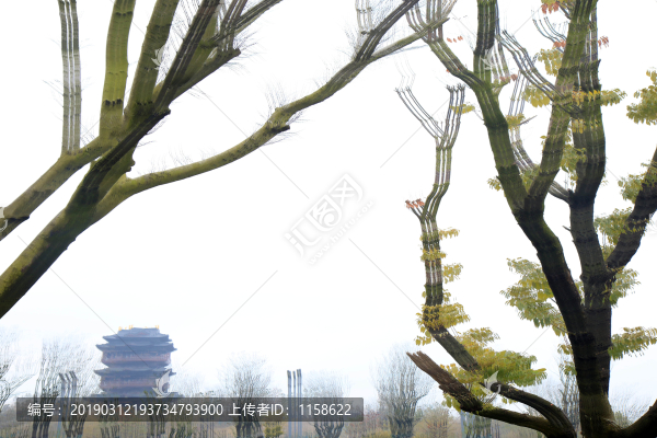 江蘇鹽城大洋灣生態(tài)運動公園畫