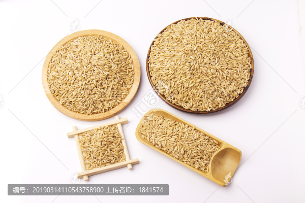 燕麥