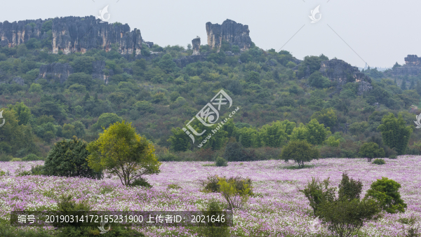 乃古石林風(fēng)景區(qū)