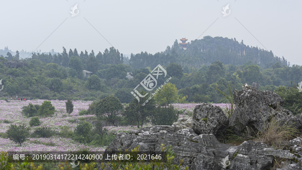 乃古石林風(fēng)景區(qū)