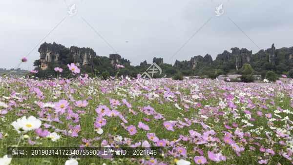 乃古石林風(fēng)景區(qū)