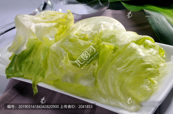 西生菜