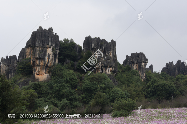 乃古石林風(fēng)景區(qū)