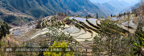 云南紅河哈尼梯田全景圖