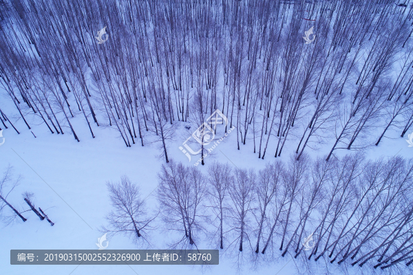 林海雪原樹林航拍
