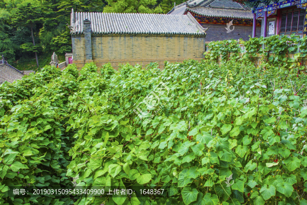 千山大安寺建筑與黃瓜架子