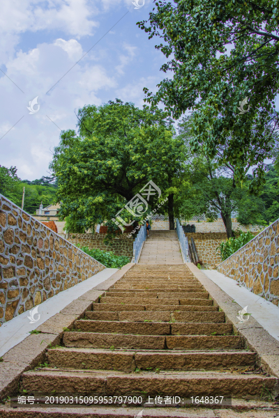 千山大安寺石階路與樹木