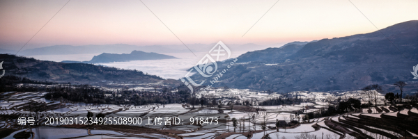 梯田