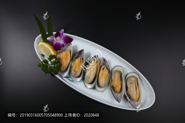 青口