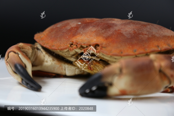 海鮮螃蟹