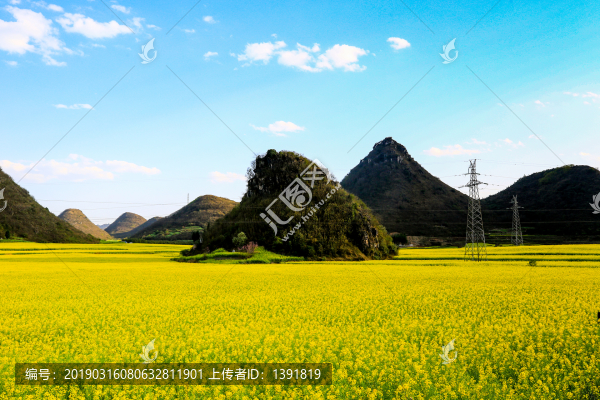 羅平金雞峰叢油菜花海