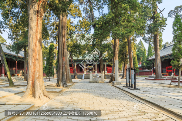 孟廟古樹古建