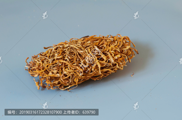 冬蟲(chóng)夏草