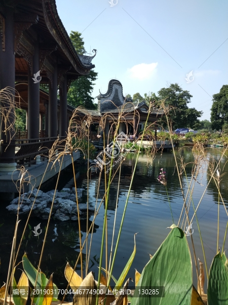 園林建筑與植物