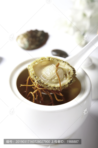 蟲草花鮮鮑盅
