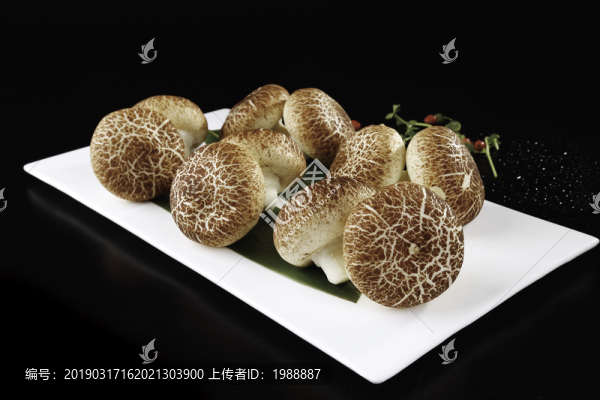 蘑菇包