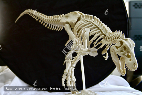 3D打印產(chǎn)品
