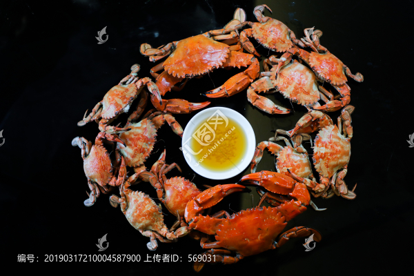 螃蟹