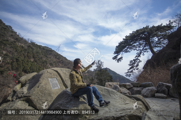 泰山迎客松